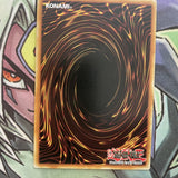 DRL3-EN040 Flower Gathering Ultra Rare 1st Edition NM Yugioh Card