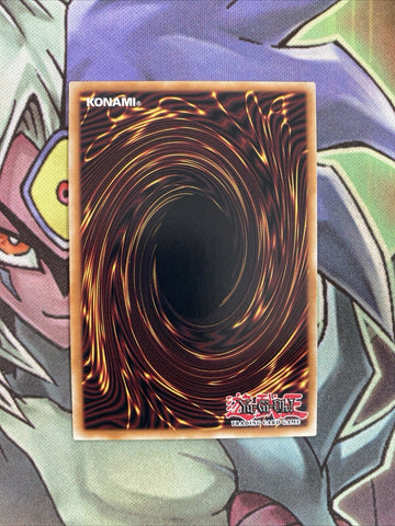 DANE-EN020 Omni Dragon Brotaur Secret Rare 1st Edition NM Yugioh Card (back)
