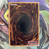 DANE-EN020 Omni Dragon Brotaur Secret Rare 1st Edition NM Yugioh Card