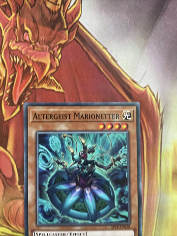 SP18-EN028 Yu-Gi-Oh ALTERGEIST MARIONETTER  - 1st Edition YuGiOh NM (back)