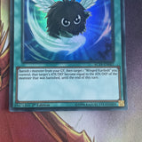AC19-EN007 Berserker Crush - Super Rare - 1st Edition Yugioh