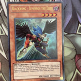 DP11-EN012 Blackwing - Zephyros The Elite Ultra Rare 1st Edition NM Yugioh Card
