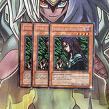 MRD-E116 x3 Witch of the Black Forest Rare Excellent Conditon Yugioh
