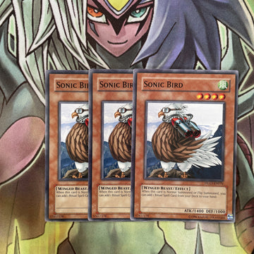 DLG1-EN076 x3 Sonic Bird Common Excellent Condition Yugioh