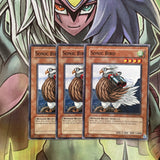 DLG1-EN076 x3 Sonic Bird Common Excellent Condition Yugioh