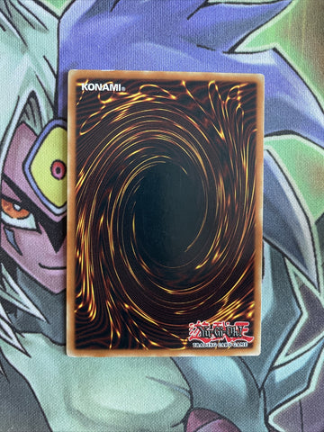 CDIP-EN021 Barrier Statue Of The Stormwinds Common 1st Edition NM Yugioh Card (back)