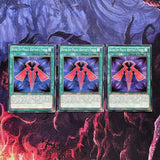 CORE-EN057 x3 Rank-Up-Magic Raptor's Force Common 1st Edition Mint Yugioh