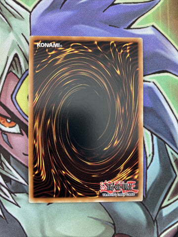 CDIP-EN008 Allure Queen LV7 Ultra Rare 1st Edition NM Yugioh Card (back)