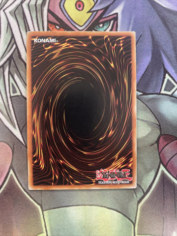 RYMP-EN095 D.D. Crow Super Rare 1st Edition Near Mint Yugioh (back)