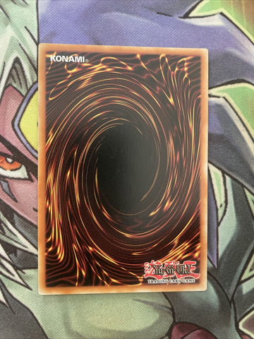 MAGO-EN153 Set Rotation Rare 1st Edition NM Yugioh Card (back)