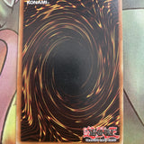 DL09-EN002 Yugioh Penguin Soldier Rare GREEN NM Condition