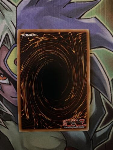 BLHR-EN035 Battlewasp - Arbalest The Rapidfire Ultra 1st Edition NM Yugioh Card (back)