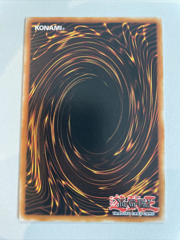 Fishborg Blaster ANPR-EN027 Common Near Mint Yugioh (back)