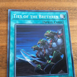 SR05-EN030 Ties Of The Brethren - 1st Edition - Common - Yugioh
