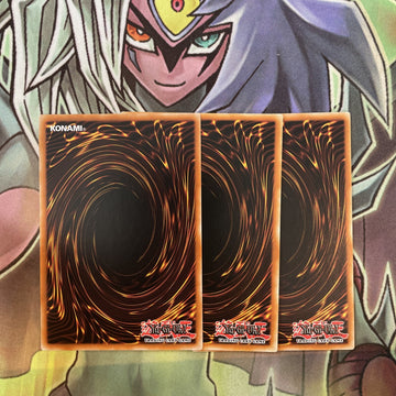 ANPR-EN062 x3 Fossil Dig Common Excellent Condition Yugioh (back)