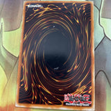 DOR-E001 Yugioh Alpha the Magnet Warrior Secret Rare Promo LP
