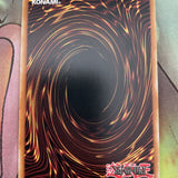 SS02-ENV01 Yugioh Ultra Rare Champion's Vigilance 1st Edition (NM)