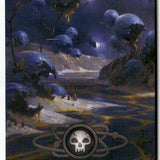 MTG Swamp () (Borderless) Unfinity LP Magic The Gathering