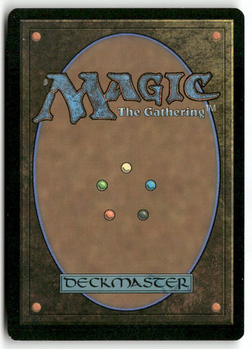 MTG Swamp () (Borderless) Unfinity LP Magic The Gathering (back)