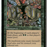 MTG Eladamri's Vineyard Tempest LP Magic The Gathering