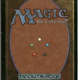 MTG Northern Paladin Revised Edition LP Magic The Gathering