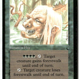 MTG Scarwood Hag The Dark LP Magic The Gathering