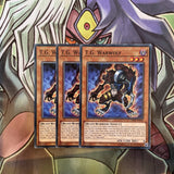 OP09-EN016 T.G. Warwolf Common x3 Excellent Condition Yugioh