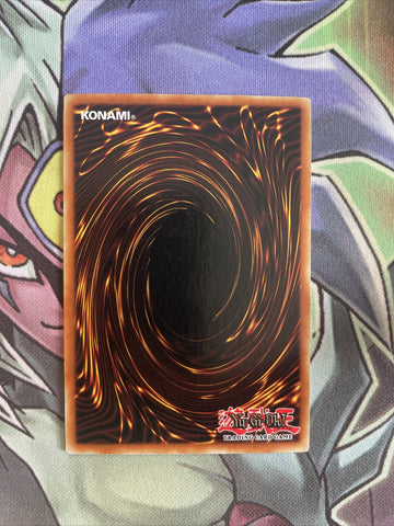 PGD-014 Gora Turtle Rare 1st Edition Near Mint Yugioh Card (back)