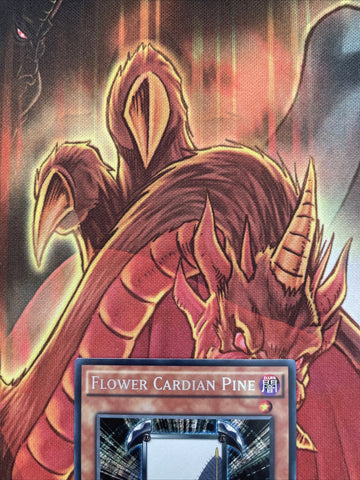 DRL3-EN031 Flower Cardian Pine Secret Rare 1st Edition Yugioh NM (back)