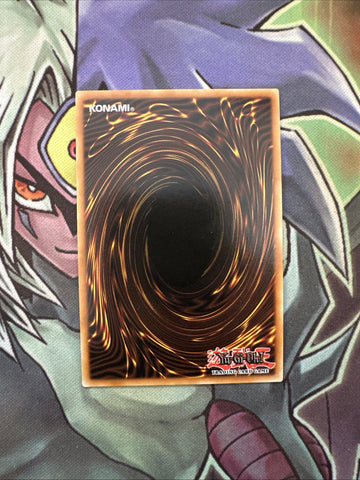 RA02-EN043 Borrelend Dragon Quarter Century 1st Edition NM Yugioh Card (back)
