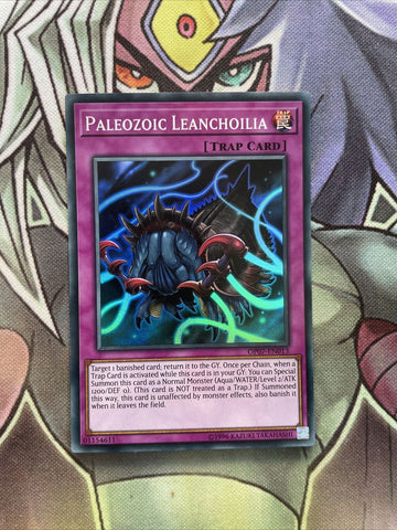 OP07-EN013 Paleozoic Leanchoilia Super Rare UNL Edition Near Mint Yugioh