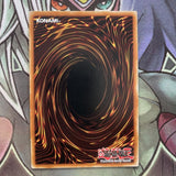 OP07-EN013 Paleozoic Leanchoilia Super Rare UNL Edition Near Mint Yugioh