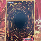 AP08-EN017  Swift Gaia the Fierce Knight Common Unl Edition YuGiOh (NM)