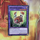 SP17-EN038 Frightfur Sheep 1st Edition Starfoil Rare played Yugioh