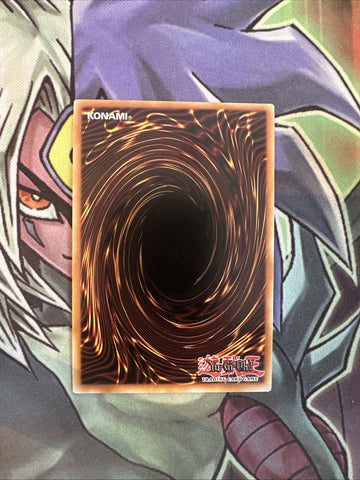 SP15-EN023 Fluffal Bear Shatterfoil Rare 1st Edition NM Yugioh Card (back)