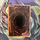 SP15-EN023 Fluffal Bear Shatterfoil Rare 1st Edition NM Yugioh Card