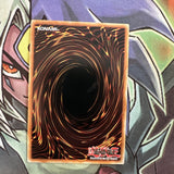 BLHR-EN049 Traptrix Sera Secret Rare 1st Edition NM Yugioh Card