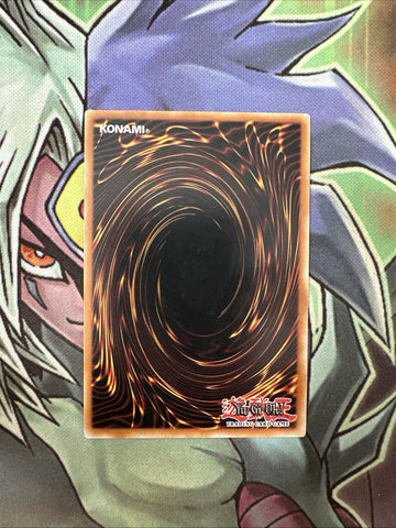 SBCB-EN143 Waboku Speed Duel 1st Edition NM Yugioh Card (back)