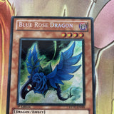EXVC-EN099 Blue Rose Dragon Secret Rare 1st Ed YuGiOh LP see pics minor crease