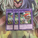LCGX-EN056 x3 Elemental HERO Necroid Shaman Common Excellent Condition Yugioh