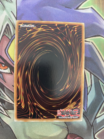 STP5-EN012 Ojama Blue Super Rare Unlimited EDition NM Yugioh Card (back)