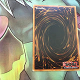 RYMP-IT040 Crystal Beast Ruby Carbuncle Super Rare 1st Ed ITALIAN Yugioh