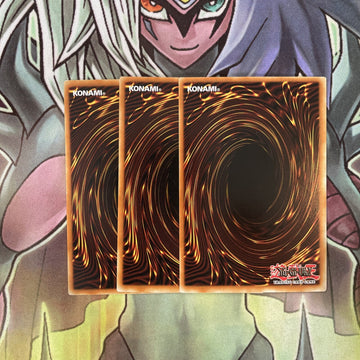 DR1-EN208 x3 Staunch Defender Common Excellent Condition Yugioh (back)
