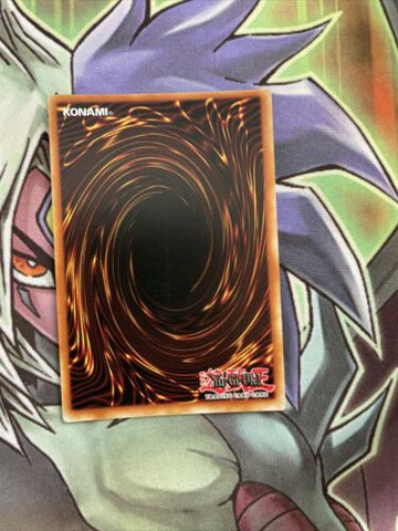 SPWA-EN028 Magical Musket - Last Stand Secret Rare 1st Edition NM Yugioh Card (back)