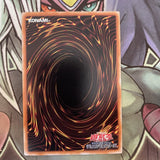 SDID-AE025 Dark Magic Inheritance Common UNL Edition NM Yugioh