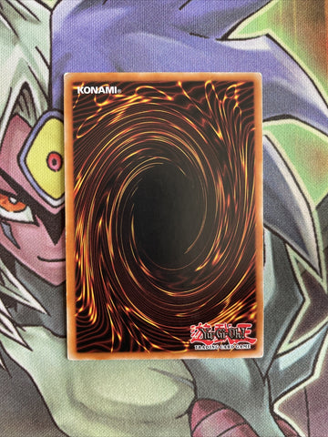 BP01-EN129 King Tiger Wanghu Common 1st Edition LP Yugioh Card (back)