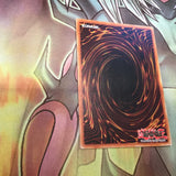 CIBR-DE063 Yugioh! - Overdone Burial -GERMAN Secret Rare - 1st Edition