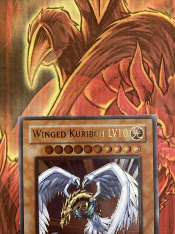 CRV-EN005 Winged Kuriboh LV10 1st Edition Ultimate Rare Yugioh Card EURO PRINT (back)