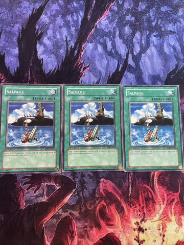 SD4-EN023 x3 Salvage - Common - 1st Edition VG Yugioh Card