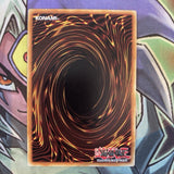 LCJW-EN043 Panther Warrior Common GERMAN 1st Edition NM Yugioh Card
